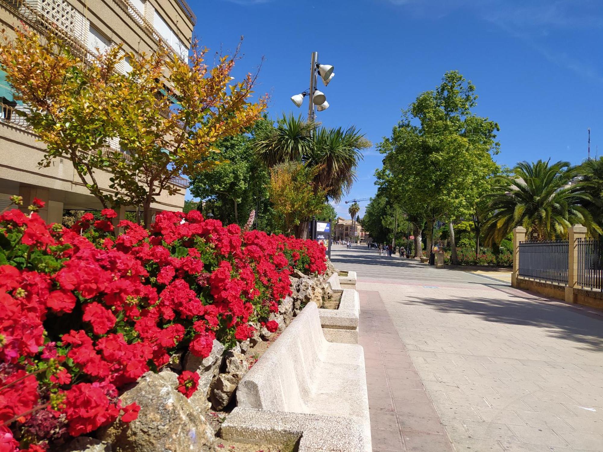 Alojamiento Los Alamos Alcalá la Real Exterior photo